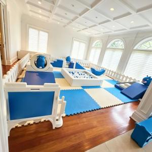 Kids Indoor Outdoor Soft Play Playground Set Blue White Ball Pit Tunnel Climbing Blocks Toddler Gym Activity Center Party Rental